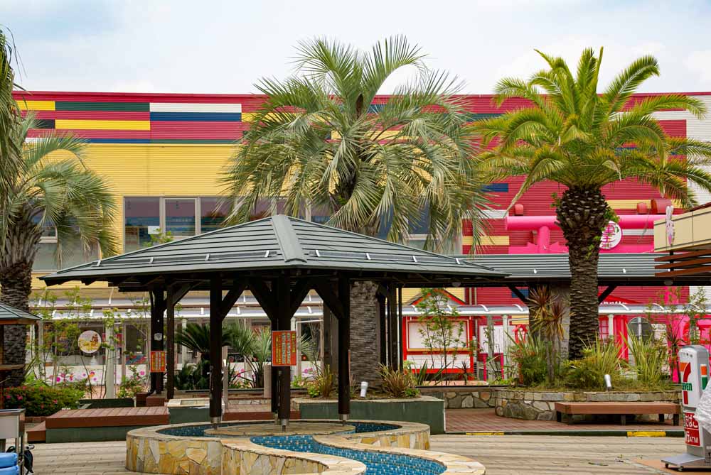 施工事例 | PalmShop Eijyuen |埼玉県深谷市でヤシの木販売