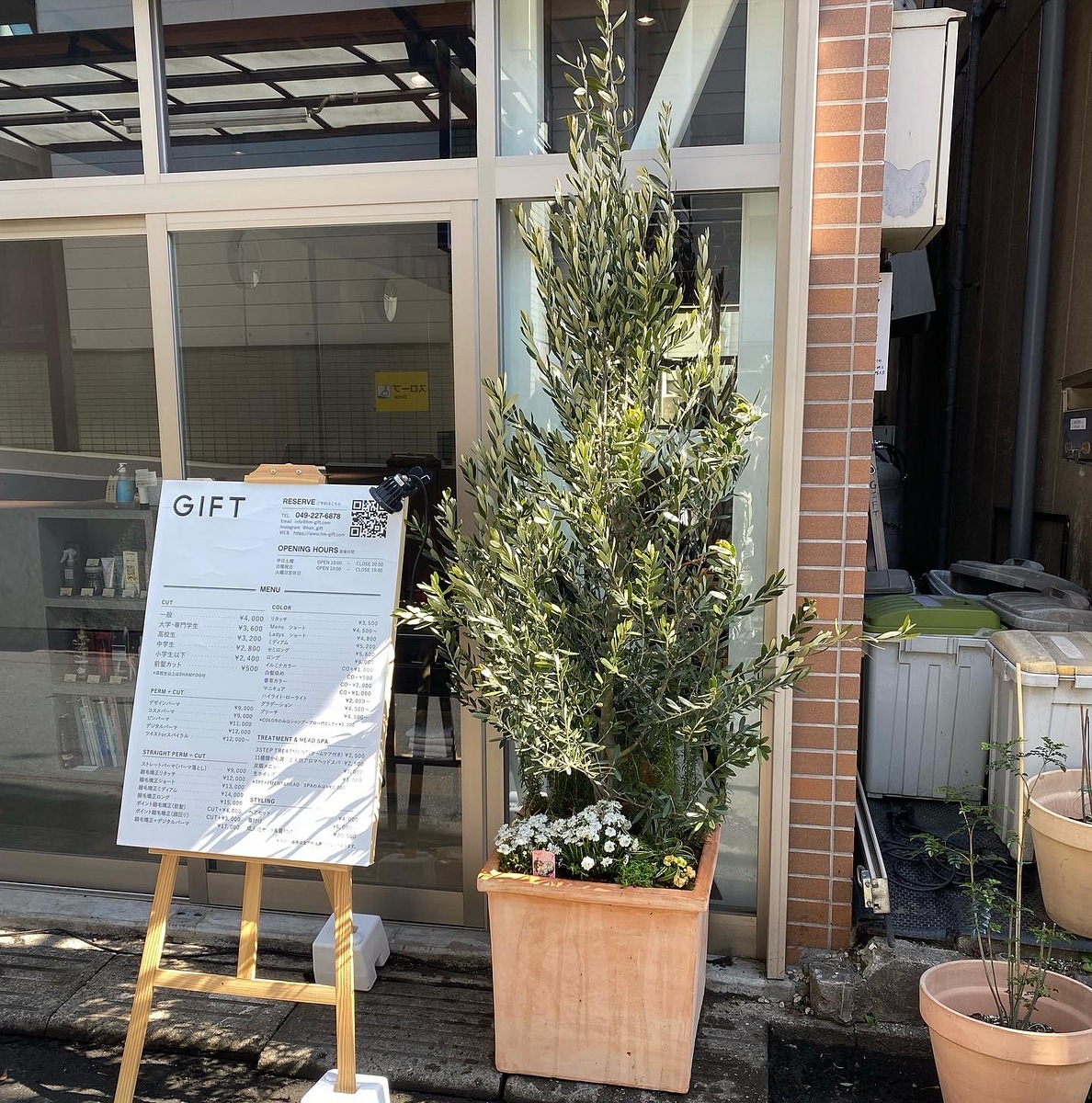オリーブ
